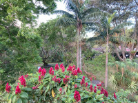 Hotel Bougainvillea Gardens
